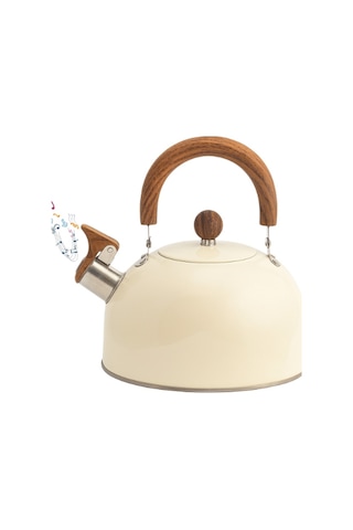 Paslanmaz Çelik Demlik Karma Renk Diğer