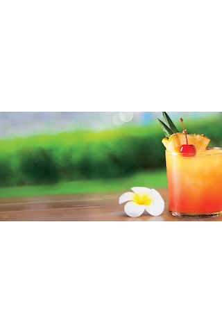 Little Trees 3'Lü Set Mai Tai - Pasifik Meyveleri Oto Kokusu