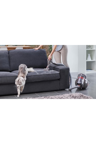 Dyson Big Ball Absolute 2 600 W Kablolu Süpürge
