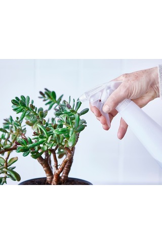 Çok Amaçlı Spreyli Şişe Şeffaf 350 Ml