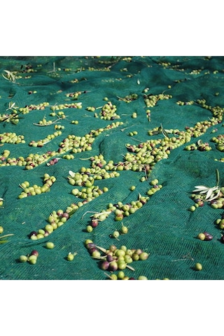 Zeytin Toplama Filesi