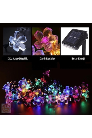 Technosmart 50 Ledli 8 Modlu Solar Çiçekli Rgb Bayçe Aydınlatma D Çok Renkli