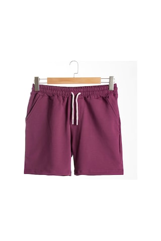 Terapi Men Erkek Mürdüm Basic Regular Fit Şort & Bermuda Mürdüm