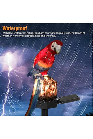 Yifomall Kırmızı Papağan Güneş Enerjili Bahçe Lambası - Ip65 Su Geçirmez Dış Mekan Dekorasyon Aydınlatması
