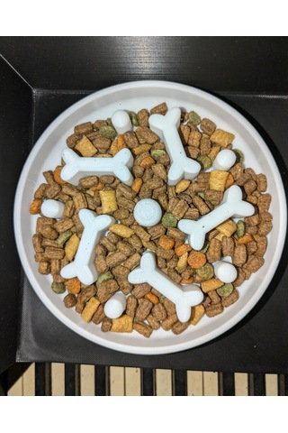3d Baskı Kemik Desenli Yavaş Yeme Mama Kabı Kedi Ve Köpek Yavaşlatıcı Mama Kabı Beyaz