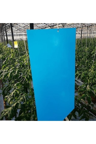 10 X 25 Cm Mavi Yapışkan Kart Tuzak 10 Adet