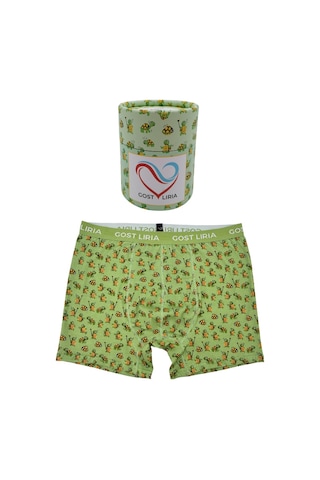 Gost Liria Tortoise Desenli Erkek Boxer Yeşil