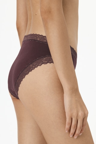 Penti Kahverengi Comfy Pamuklu Slip Külot Bn83