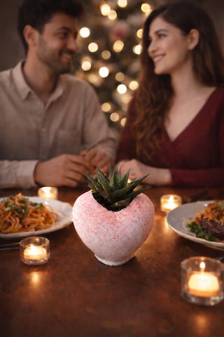 Pembe Kalp Saksıda Sukulent Romantik Canlı Hediye