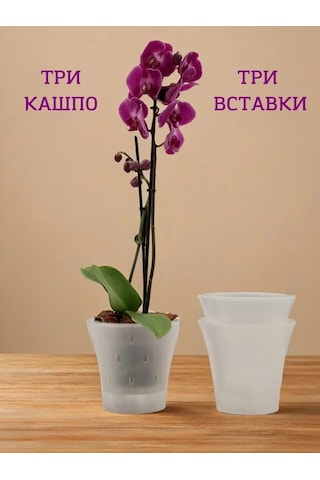 Live-in-green 2l Şeffaf Plastik Orkide Saksı S 342131425