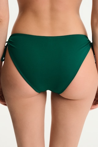 Penti Yeşil Ring Bikini Altı