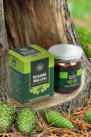 Kozalak Macunu Kozalak Özlü Bitkisel Karışımlı Macun 240g