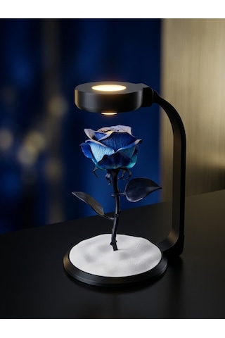 Moonlamp Mavi Gül Dekoratif Hediyelik Lamba Moonlamp Mavi Gül Dekoratif Hediyelik Lamba