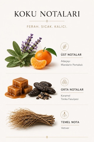 Erkek Parfümü Scandal Intense 50 Ml Edp Kalıcı Parfüm Aromatik - Odunsu