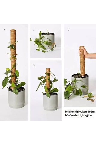 Gardener KKS110 Koko Sarmaşık Çubuğu - 110 cm