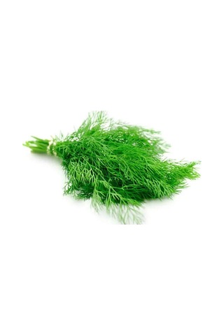 Dere Otu Tohumu 10 Gr 0,5 Mm-10 Metre