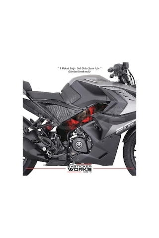 Bajaj Pulsar Rs200 Orta Şase Kaplama Punisher Desen Sticker Diğer