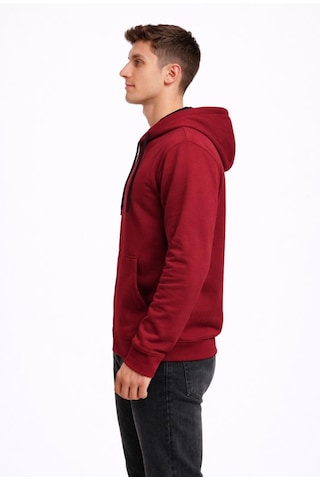 Axxel Erkek Bordo 2 İplik Fermuarlı Kapüşonlu Sweatshirt-w1084 Bordo