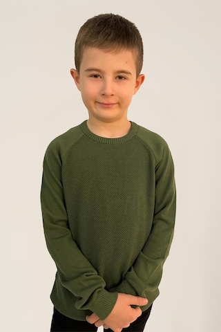 Alexandergardı Çocuk Pamuklu Triko Kazak C21-18937 Yeşil