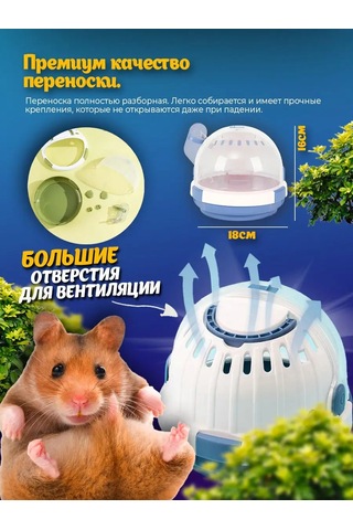 Absolex Kemirgen Taşıyıcı Sıçanlar İçin 166204234