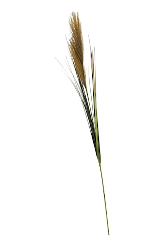 Pasabahce Yeşil Grass 92 Cm - 1 Adet