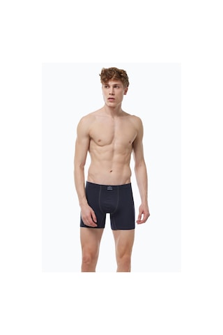 Malabadi Erkek 3 Lü Füme Premium Collection Modal Uzun Boxer 3m250 Füme