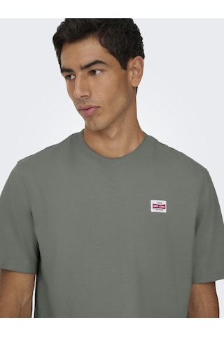 Only & Sons Erkek Yuvarlak Yaka Regular Fit Gri T-shirt - 22033190