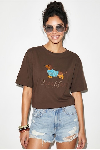 Shade Kadın Bisiklet Yaka Nakış Ve Boncuk İşlemeli Oversize T-shirt 2221 60286122 - Kahverengi