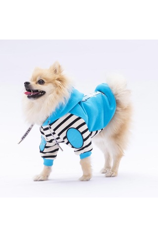 Turkuaz Lucky Club Köpek Hoodie Köpek Sweat Köpek Kıyafeti Kedi Kıyafeti