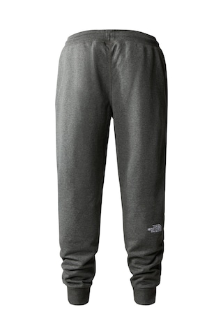 The North Face M Nse Lıght Erkek Pantolon Nf0a4t1fdyy1 Gri