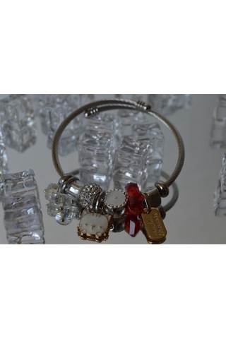 Uzel Çelik Gümüş Silver Model Taşlı, Kedicik Charmlı Çelik Bileklik