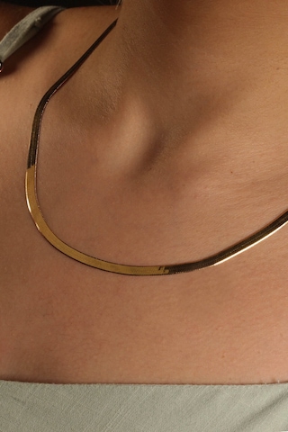 Hakan Güler Kuyumculuk 14 Ayar Altın İtalyan Ezme Zincir