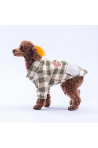 Pawstar Yeşil Chicago Checks Küçük Irk Köpek Pofuduk Ceket