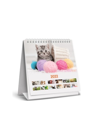 Keskin 15x15 Cm Kare 2022 Üçgen Masa Takvimi 820801 Kediler