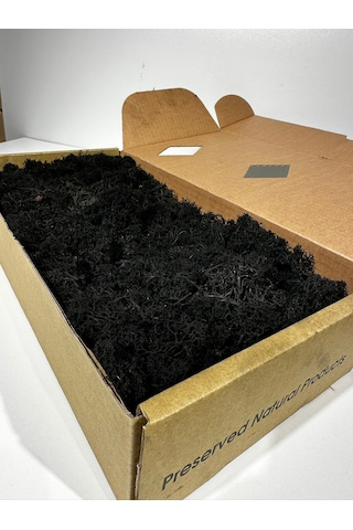 Reindermoss Şoklanmış Norveç Yosunu Terarium Yosunu Siyah 5 Kg.