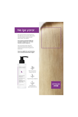 Pure Saach Professional Silver Şampuan 400 ML