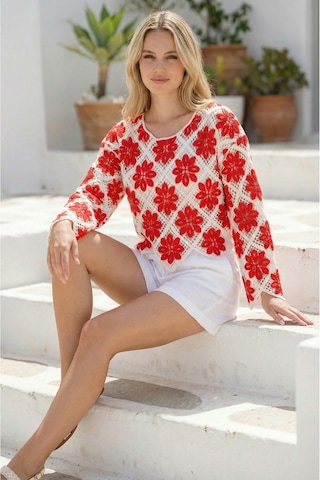 Sayzen Your Shine Çiçek Desenli Dantel Işleme Crop Sayzen Çiçek Desenli Dantel Işleme Crop Kırmızı