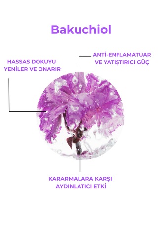 Bakuchiol Intim Wash Kadın Özel Bölge Temizleme Jeli Hassas Bakım 100 Ml