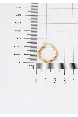 Bilezikci Burgulu Halka Altın Küpe 14 Ayar Sarı Altın