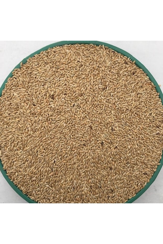 Vivid Kanarya Kuş Yemi Sade Aspur 10 KG