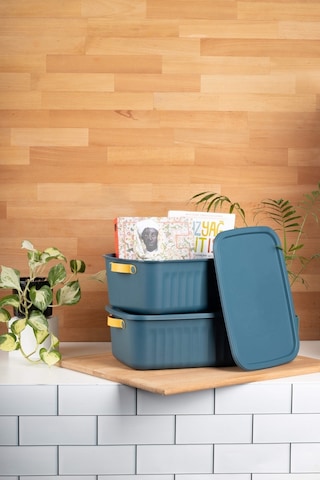 Finehome Boxy 2'li Çok Amaçlı Kutu 10lt Mavi