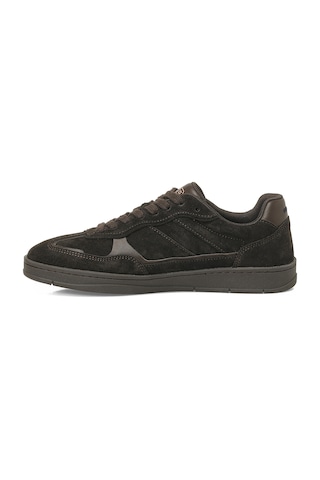 U.s. Polo Assn. Vera S 6fx Kahverengi Kadın Sneaker 000000000102158325 Kahverengi