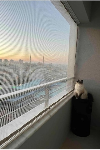 Ekodoğa Kuş Filesi 0,90 X 2,20 M, Balkon Ağı, Kedi Koruma, Dolu Filesi
