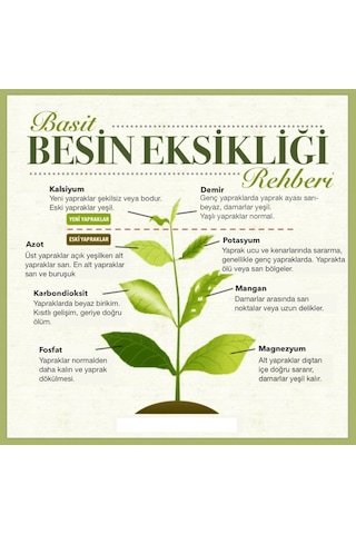 Akvaryum Akıllı Toz Kapsül Gübre - Hızlı Etki - 10 Adet