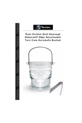 Özel Üretim Özel Konsept Dekoratif Obje Alışılmadık Tarz Cam Kurukafa Buzluk Şeffaf