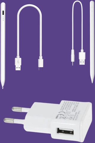 Stylus Kalem 5v 1a Seyahat Duvar Usb Şarj Adaptörü