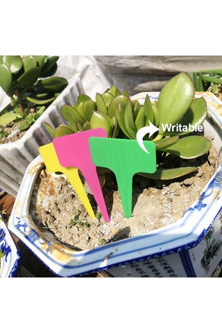 Reedark Dayanıklı Plastik T Şekilli Bitki Etiketleri - 100 Adet Su Geçirmez Bahçe İşaretleme