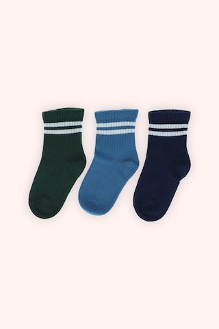 Panço Erkek Çocuk Soket Çorap Seti Renkli 2412BK11005