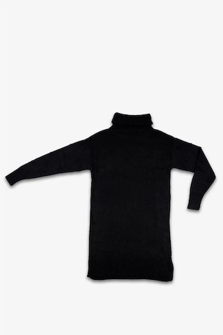 Kadın Siyah Boğazlı Kabartma Noktalı Uzun Kollu Triko Elbise Siyah