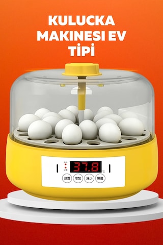 Ev Tipi Mini Kuluçka Makinesi - Civciv Çıkım Makinesi Otomatik